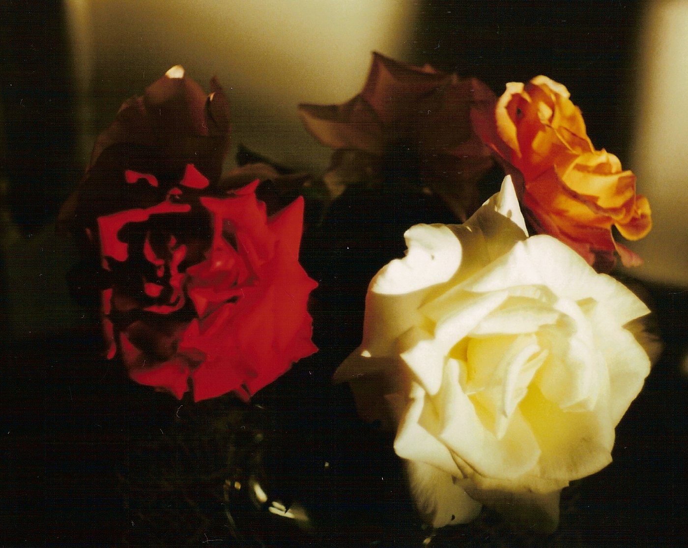 Rosengruppe