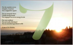 NUMBER SEVEN
