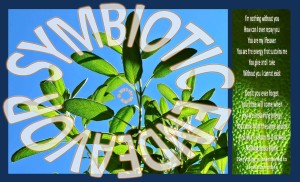 Symbiotic Endeavor Poem