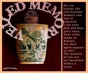 Veiled Memory Poem